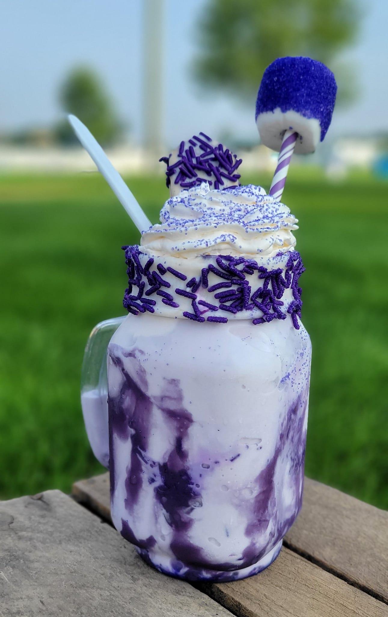 debucks-purple-ice-cream.jpg